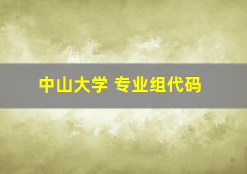 中山大学 专业组代码